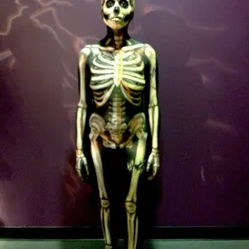 Nix's skeleton