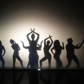 Playing in the shadows with the contortionists
